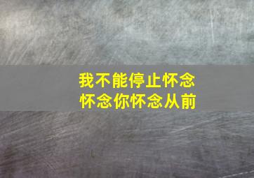 我不能停止怀念 怀念你怀念从前